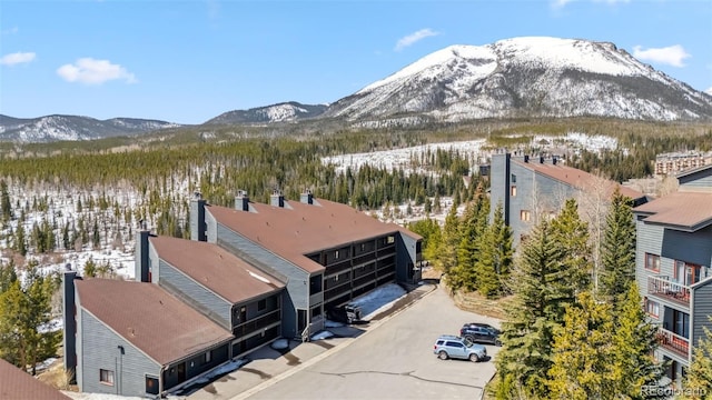 9460 Ryan Gulch Rd Unit 9465, Silverthorne, CO 80498 - photo 25