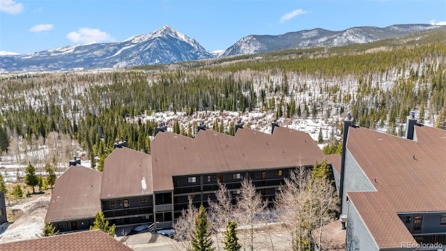 9460 Ryan Gulch Rd Unit 9465, Silverthorne, CO 80498 - photo 26