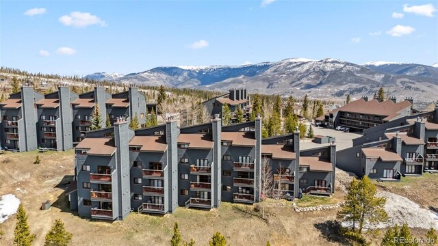9460 Ryan Gulch Rd Unit 9465, Silverthorne, CO 80498 - photo 27