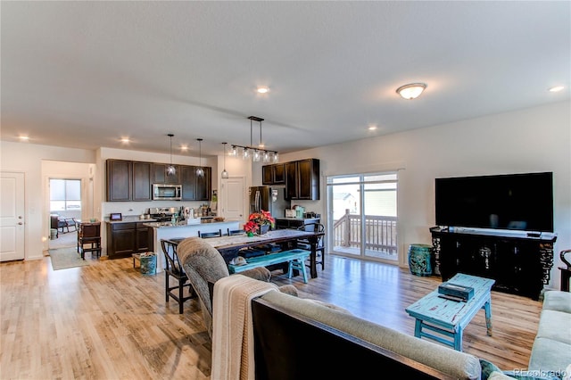 living room featuring light hardwood / wood-style flooring