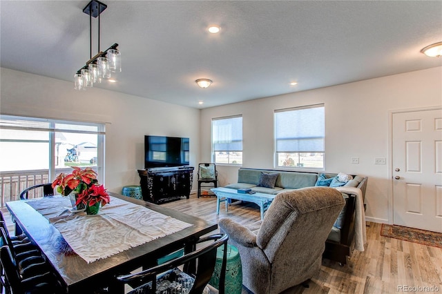 living room featuring light hardwood / wood-style floors