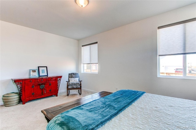 bedroom with carpet flooring