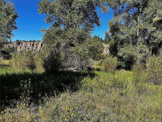 169/209 Escondida Dr, South Fork, CO 81154