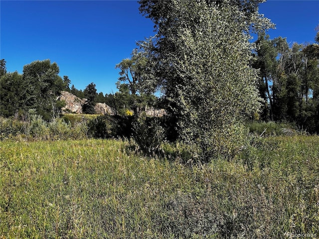 169/209 Escondida Dr, South Fork, CO 81154