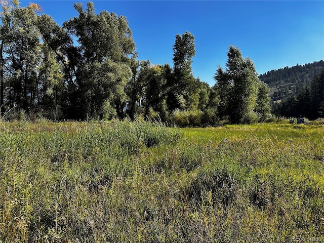 169/209 Escondida Dr, South Fork, CO 81154