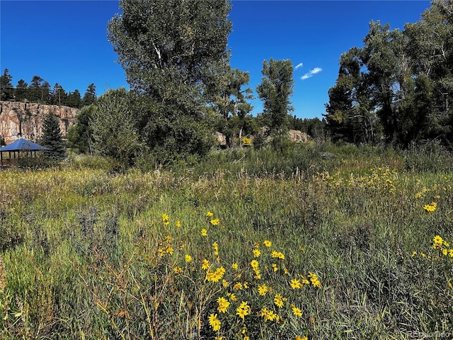 169/209 Escondida Dr, South Fork, CO 81154