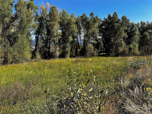 169/209 Escondida Dr, South Fork, CO 81154