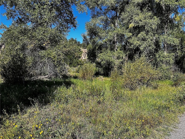 169/209 Escondida Dr, South Fork, CO 81154