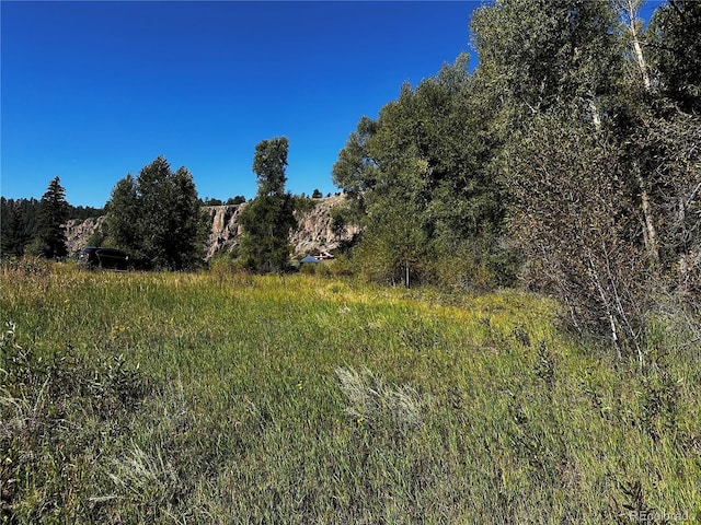 169/209 Escondida Dr, South Fork, CO 81154