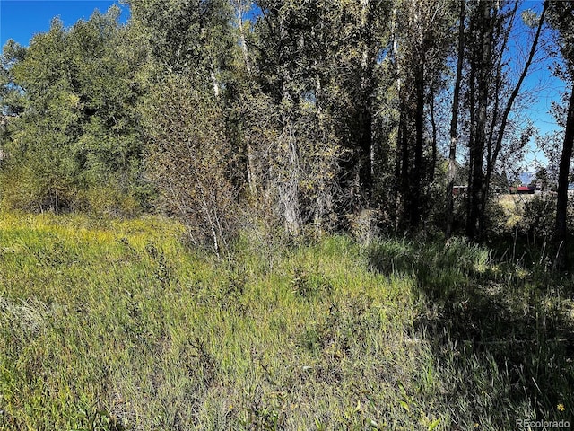 169/209 Escondida Dr, South Fork, CO 81154