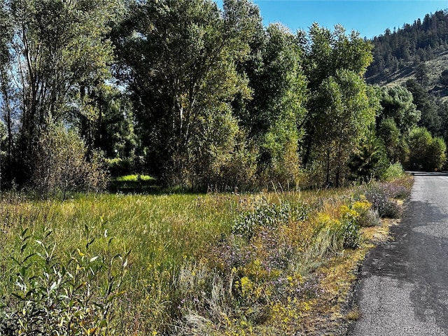 169/209 Escondida Dr, South Fork, CO 81154