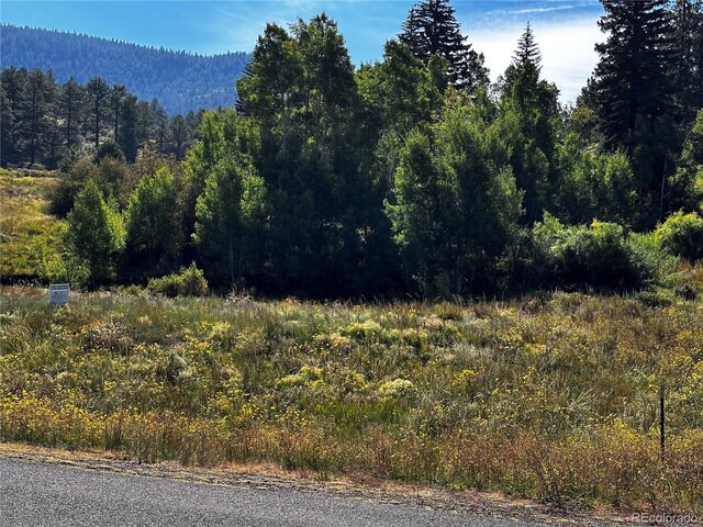 169/209 Escondida Dr, South Fork, CO 81154