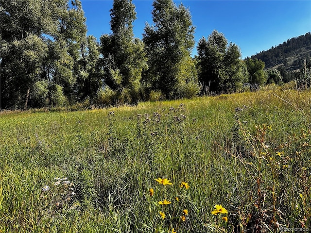 169/209 Escondida Dr, South Fork, CO 81154
