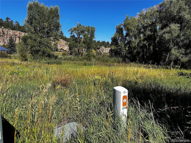 169/209 Escondida Dr, South Fork, CO 81154