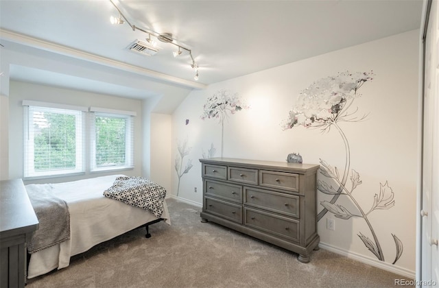 7750 S Glencoe Way, Centennial, CO 80122 - bedroom with rail lighting and carpet floors