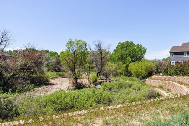 14833 E Crestridge Dr, Centennial, CO 80015 - view of yard