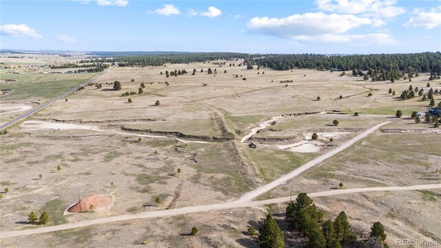 29684 County Road 17-21, Elizabeth, CO 80107 - photo 4
