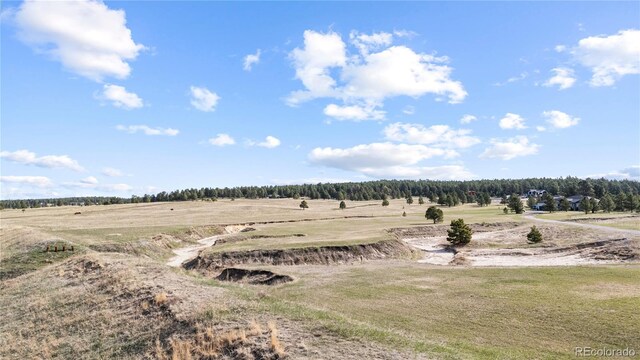 29684 County Road 17-21, Elizabeth, CO 80107 - photo 12