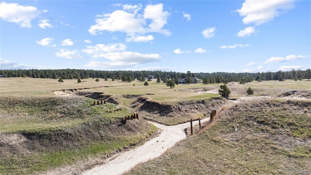 29684 County Road 17-21, Elizabeth, CO 80107 - photo 18