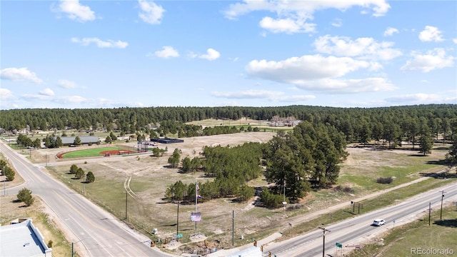 29684 County Road 17-21, Elizabeth, CO 80107 - photo 19