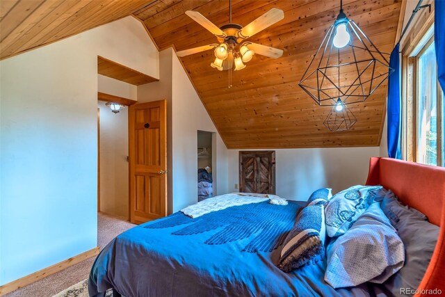 303 Ridge Rd, Alma, CO 80420 - photo 21