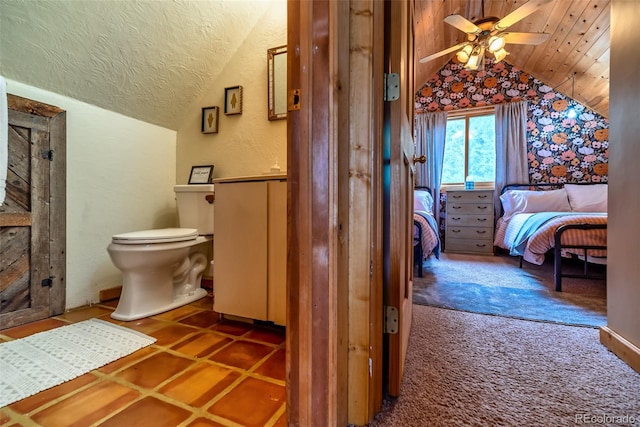 303 Ridge Rd, Alma, CO 80420 - photo 23