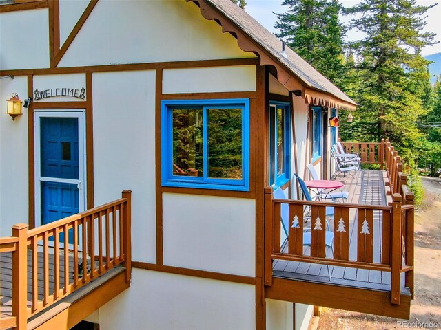 303 Ridge Rd, Alma, CO 80420 - photo 28
