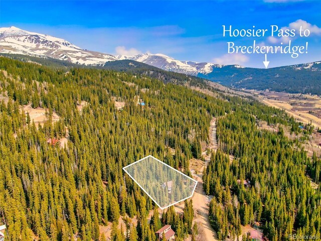 303 Ridge Rd, Alma, CO 80420 - photo 29