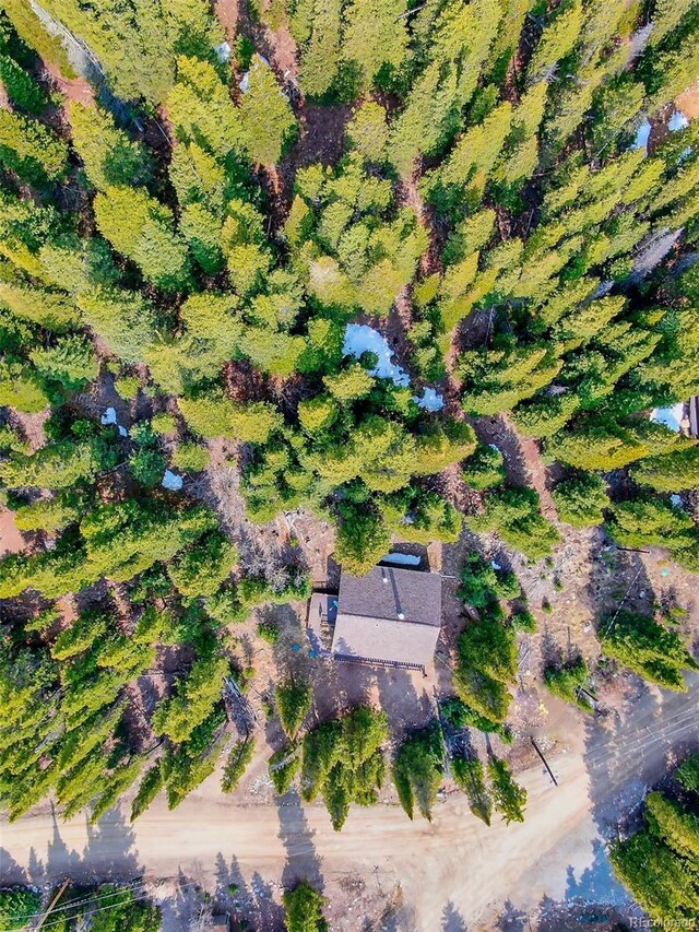 303 Ridge Rd, Alma, CO 80420 - photo 30