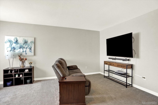 13271 Holly St Unit B, Thornton, CO 80241 - living area with carpet floors