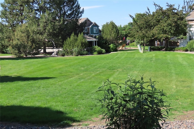 13271 Holly St Unit B, Thornton, CO 80241 - view of grassy yard