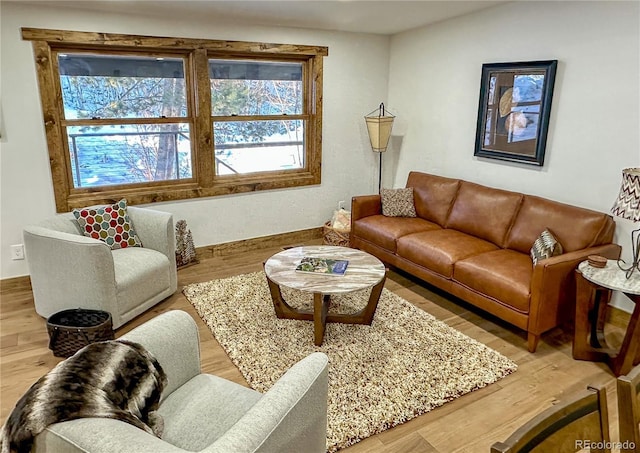 living room with hardwood / wood-style flooring