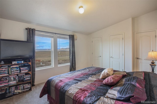 bedroom with lofted ceiling and carpet floors