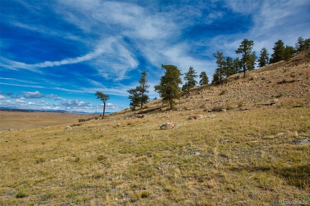 1888 Lakeview Dr, Lake George, CO 80827 - view of yard