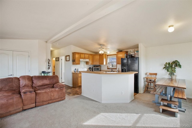 1888 Lakeview Dr, Lake George, CO 80827 - kitchen featuring under cabinet range hood, open floor plan, light carpet, stainless steel microwave, and ceiling fan