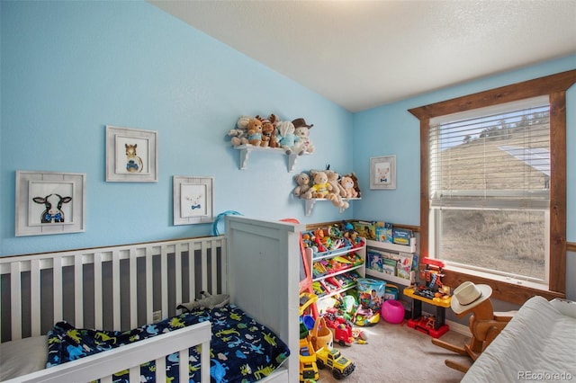1888 Lakeview Dr, Lake George, CO 80827 - bedroom with carpet flooring and vaulted ceiling