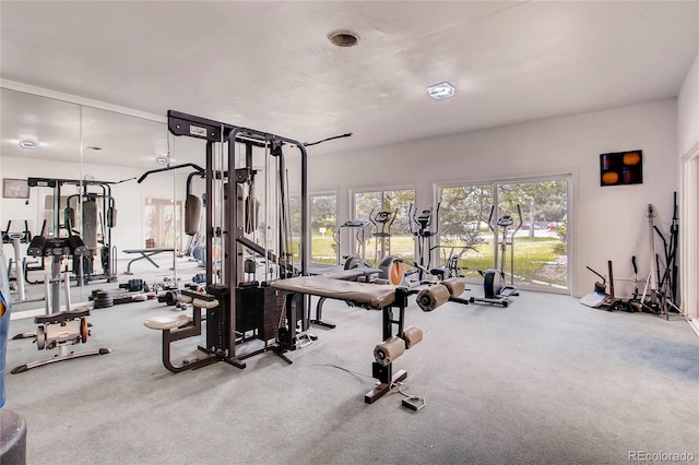 exercise room featuring plenty of natural light and carpet floors