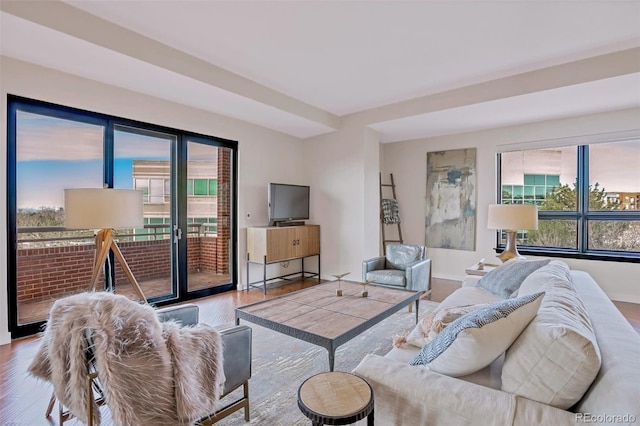 living room featuring light wood-type flooring and plenty of natural light