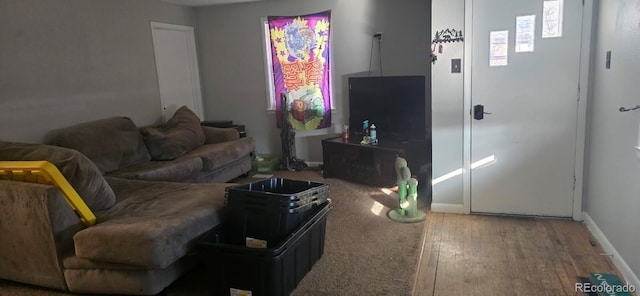 living room featuring hardwood / wood-style flooring