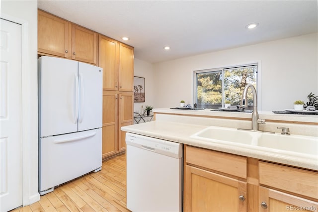 kitchen featuring white appliances, light brown cabinetry, light hardwood / wood-style floors, and sink