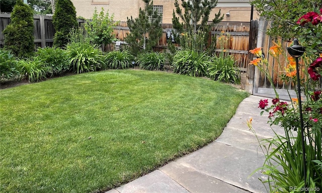 615 N Williams St, Denver, CO 80218 - view of yard