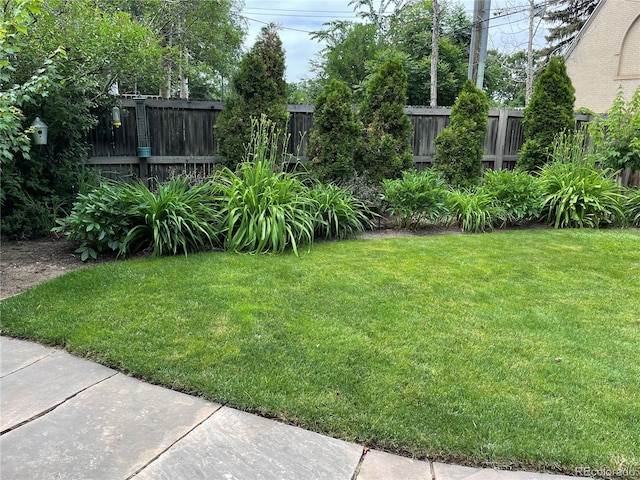 615 N Williams St, Denver, CO 80218 - view of yard