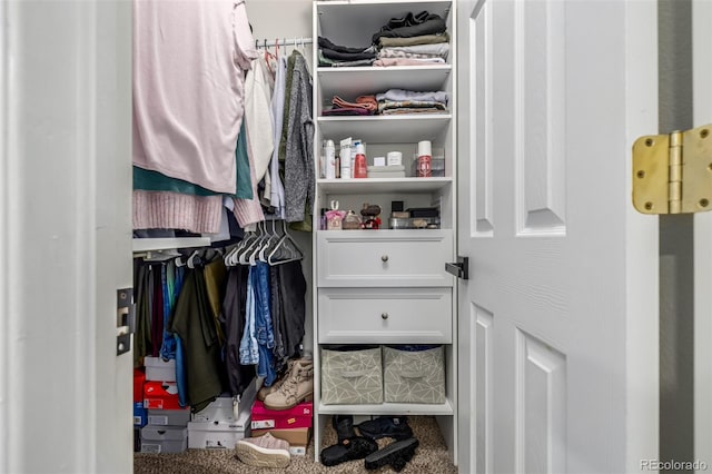 view of walk in closet