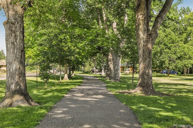 1975 Cody St, Lakewood, CO 80215 - view of property's community with a yard
