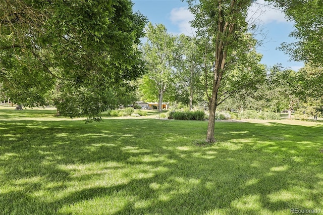 1975 Cody St, Lakewood, CO 80215 - view of grassy yard