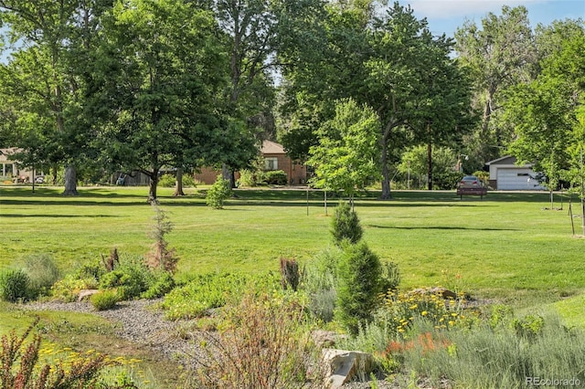 1975 Cody St, Lakewood, CO 80215 - view of grassy yard