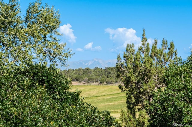 view of landscape featuring a forest view and a mountain view