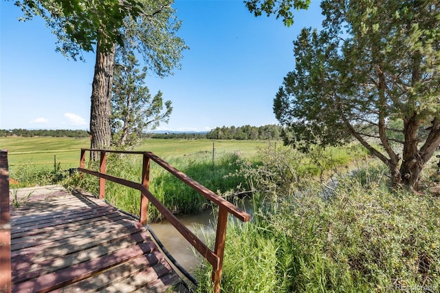 view of yard with a rural view