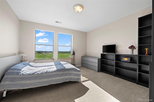 bedroom with carpet