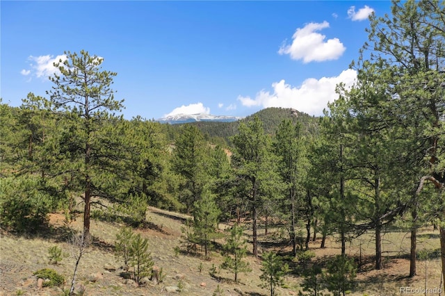 840 Obsidian Dr, Florissant, CO 80816 - view of mountain background with a heavily wooded area